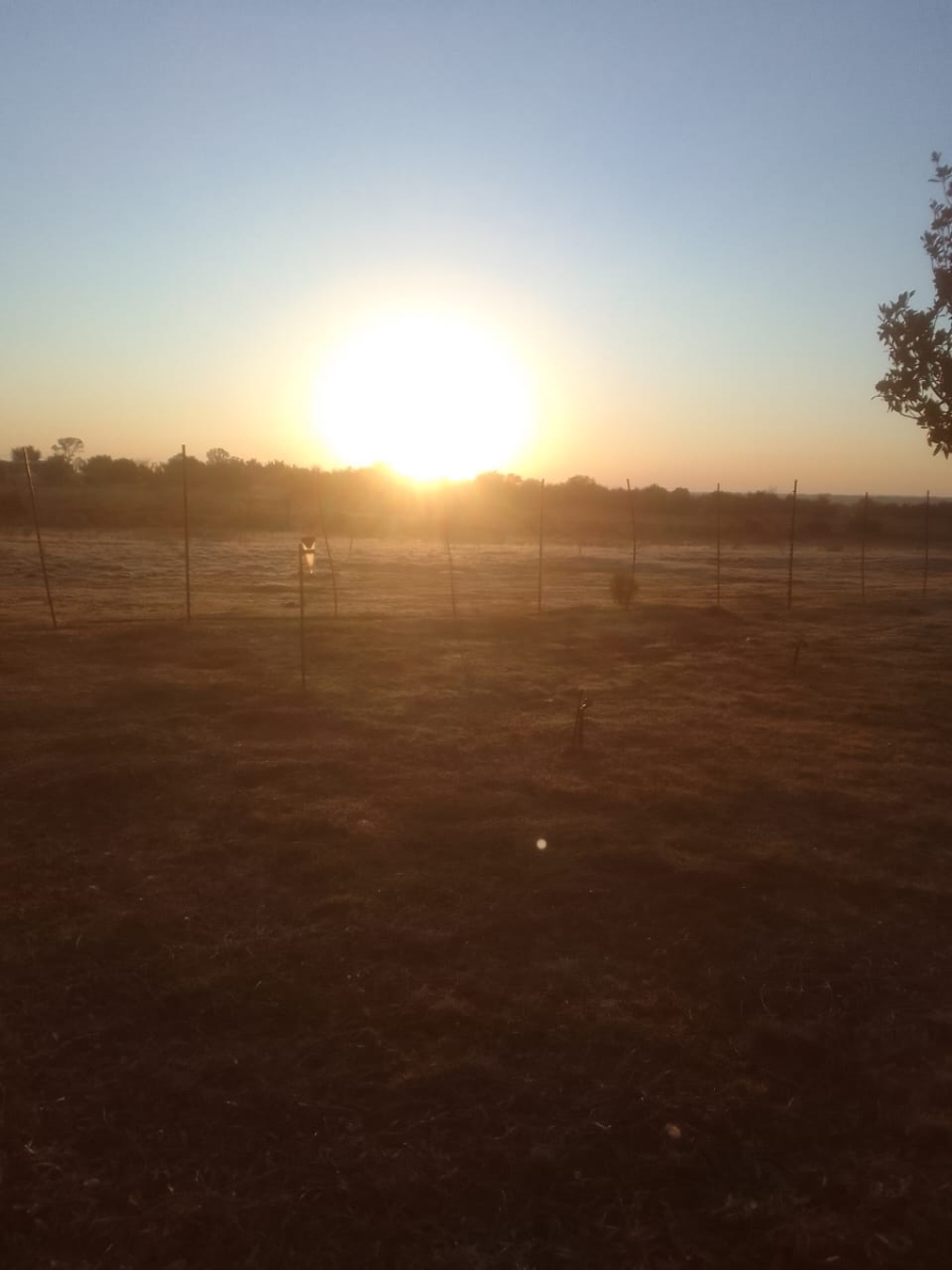 Commercial Property for Sale in Schweizer Reneke North West